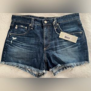 AG Denim Shorts the Bryn ex-boyfriend cut off
